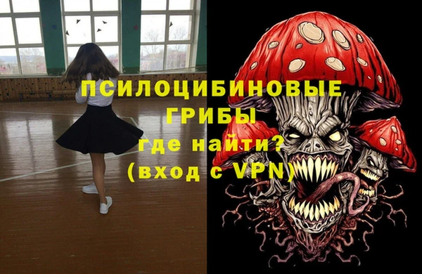 ГАЛЛЮЦИНОГЕННЫЕ ГРИБЫ Вяземский