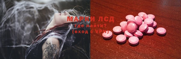 ГАЛЛЮЦИНОГЕННЫЕ ГРИБЫ Вяземский