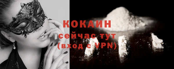 ГАЛЛЮЦИНОГЕННЫЕ ГРИБЫ Вяземский