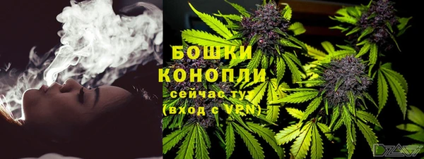 ГАЛЛЮЦИНОГЕННЫЕ ГРИБЫ Вяземский