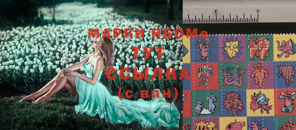 ГАЛЛЮЦИНОГЕННЫЕ ГРИБЫ Вяземский